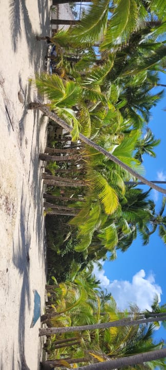 Strand Hotel Riu Palace Bavaro