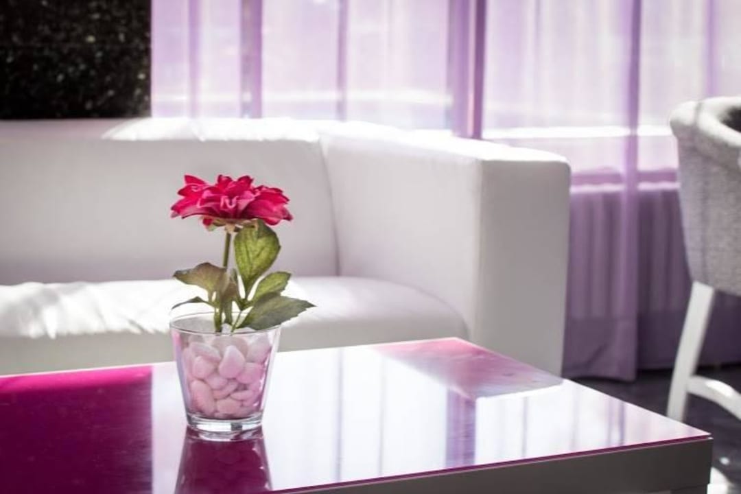 Hall Hotel Boreal & Condor