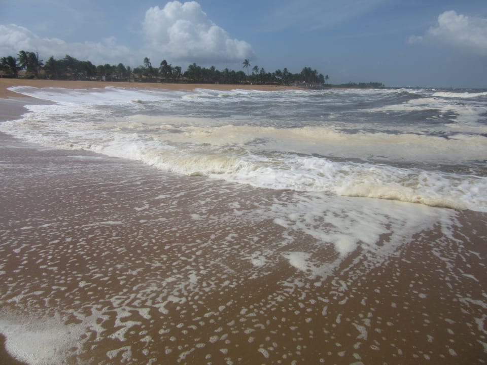 Nördliche, größere Badebucht Club Hotel Dolphin