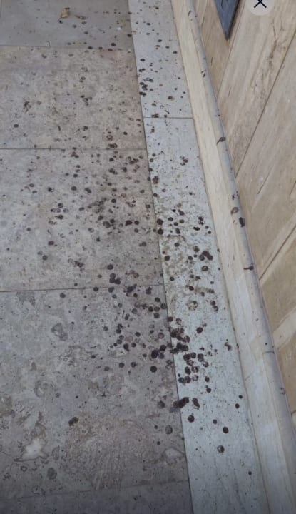 Gastro Grand Waterworld Makadi