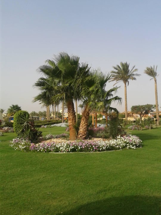 Schöner Garten SUNRISE Royal Makadi Resort