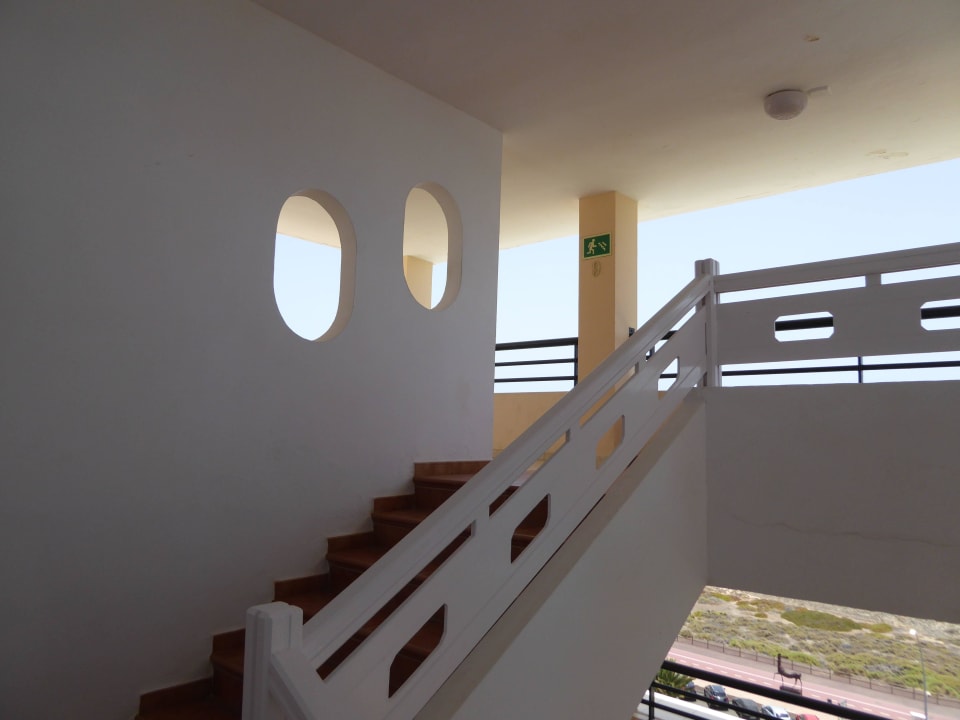 Palm Garden  Apartment Palm Garden By LIVVO