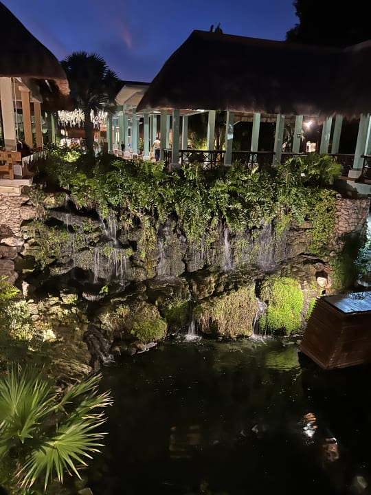 Sonstiges Iberostar Waves Tucan