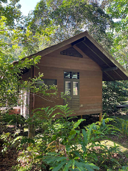Zimmer Hotel Borneo Rainforest Lodge