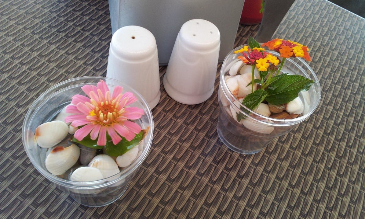 Eigene Tischblumen Megasaray Club Belek