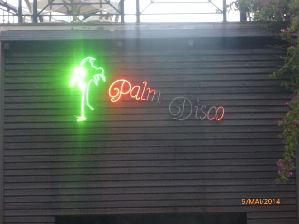 Disco TUI BLUE Palm Garden