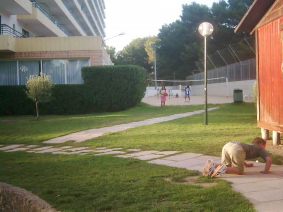 Der Volleyballplatz BQ Belvedere Hotel