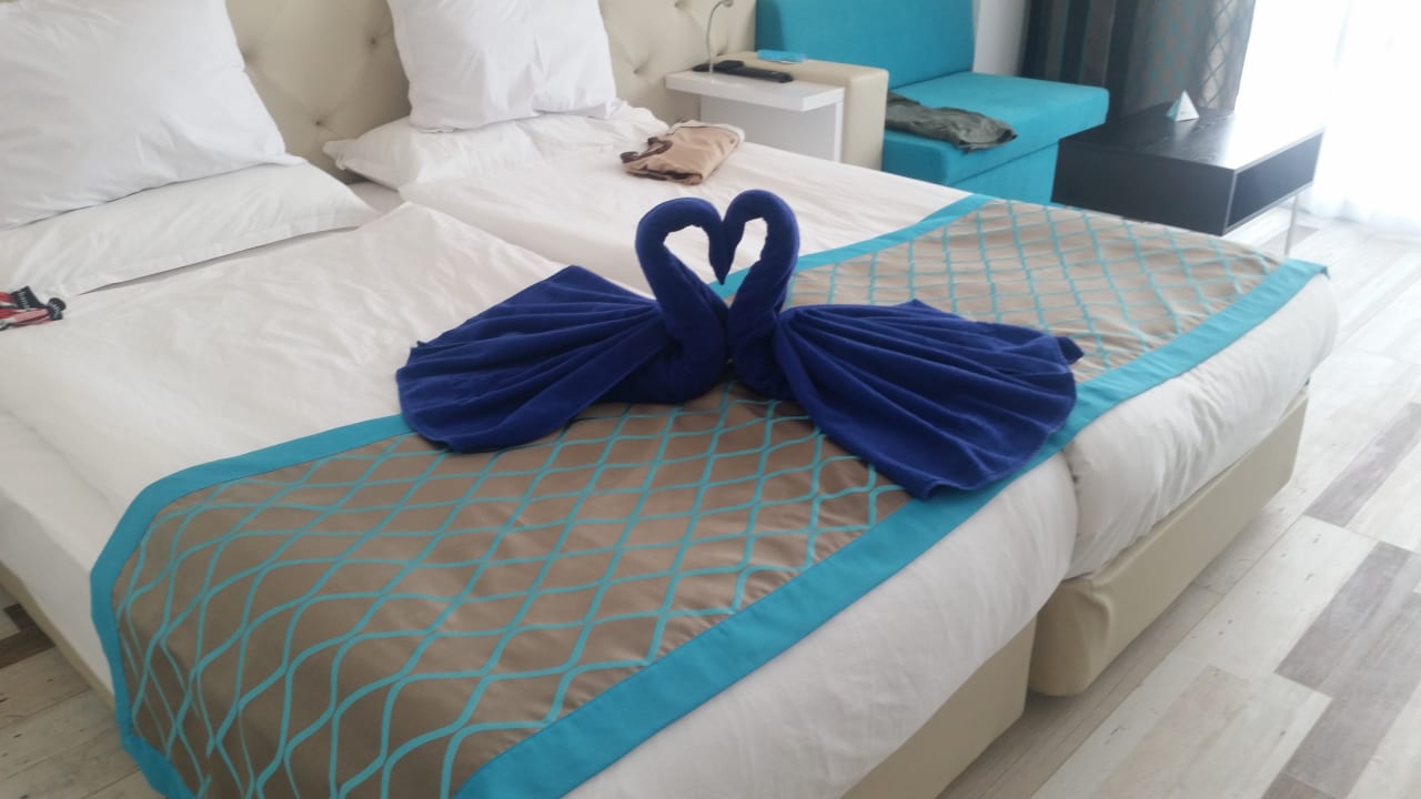 Zimmer Sentido Marea