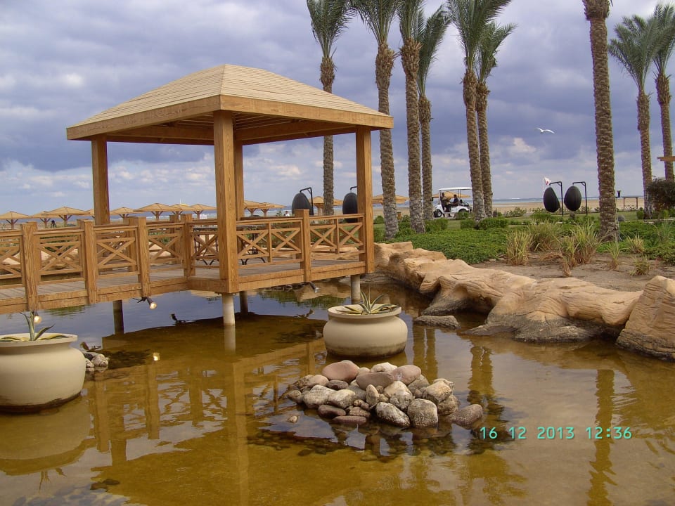 Teich Tropitel Sahl Hasheesh