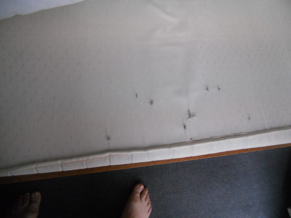 Bettmatraze Hotel Spreewitz am Kurfürstendamm