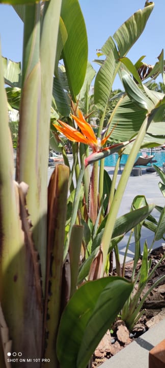 Sonstiges Hotel Miramare Beach