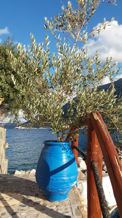 Ausblick Bali Blue Bay Lifestyle