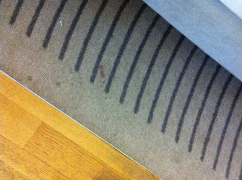 Teppich Four Points by Sheraton Panoramahaus Dornbirn