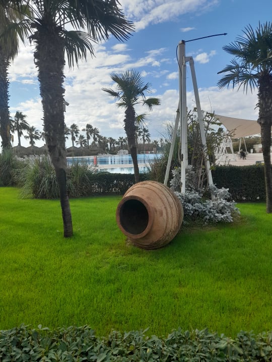 Gartenanlage Paloma Oceana