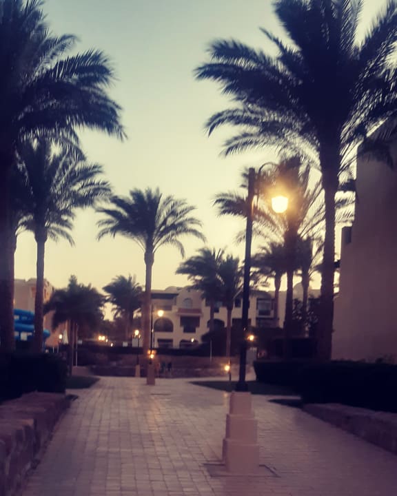 Gartenanlage Stella Garden Resort & Spa, Makadi Bay