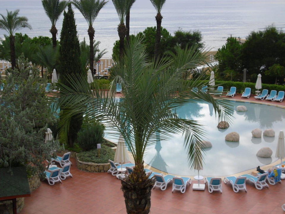 Sentido PALOMA Perissia