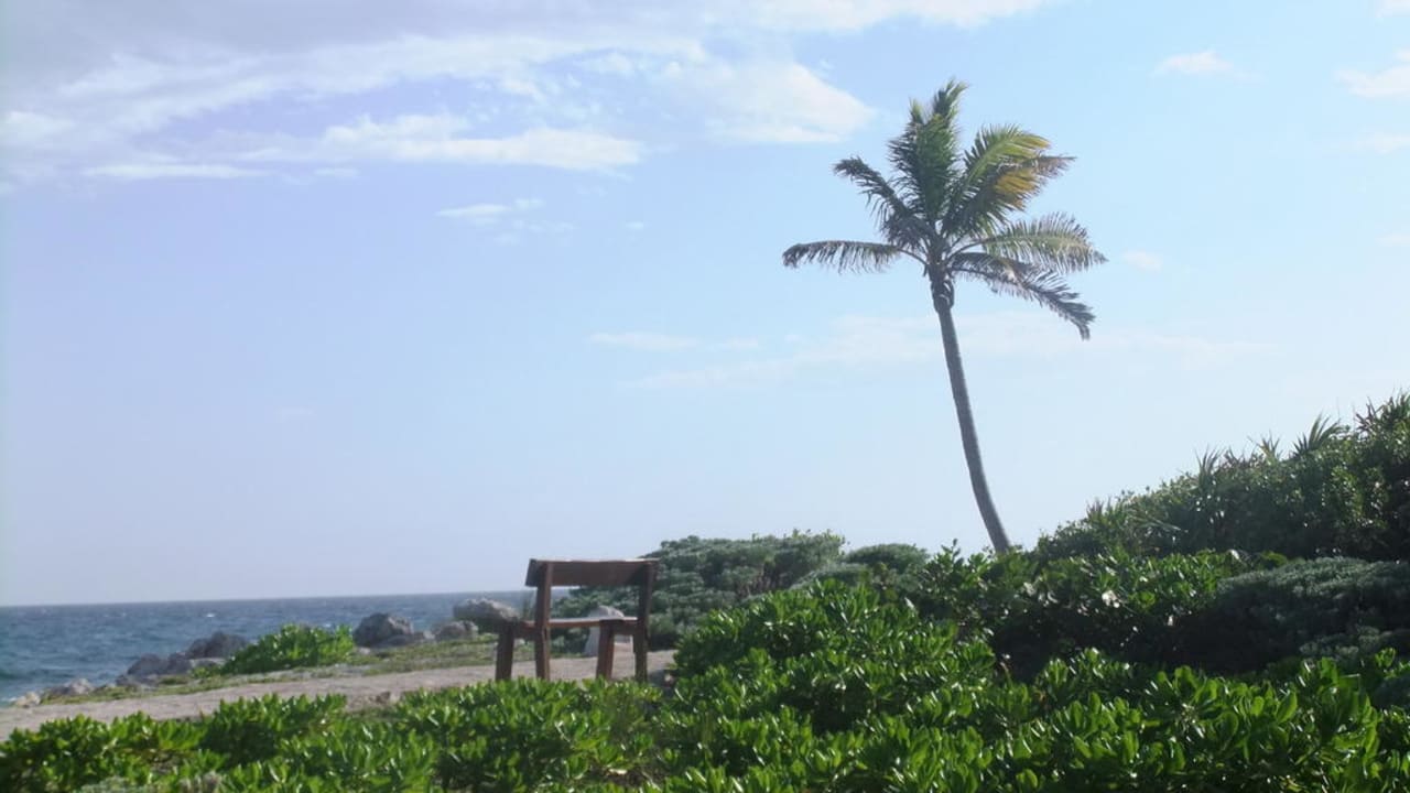 Naturschutzgebiet nebenan TRS Yucatan Hotel - Adults only