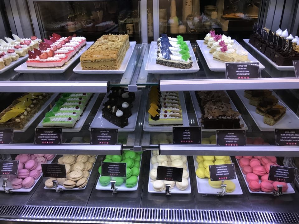 Gastro Acanthus Cennet Barut Collection