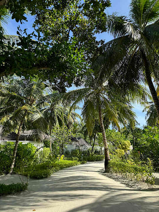 Gartenanlage LUX South Ari Atoll