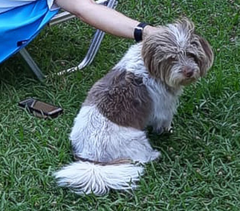 Sonstiges Hotel Adriolos