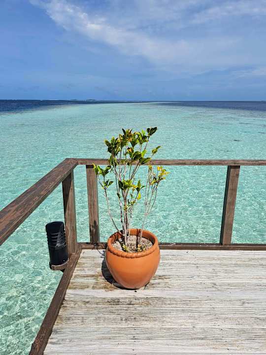 Zimmer Vilamendhoo Island Resort & Spa
