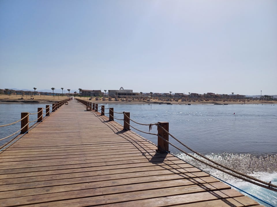 Strand Pickalbatros Sea World Resort - Marsa Alam