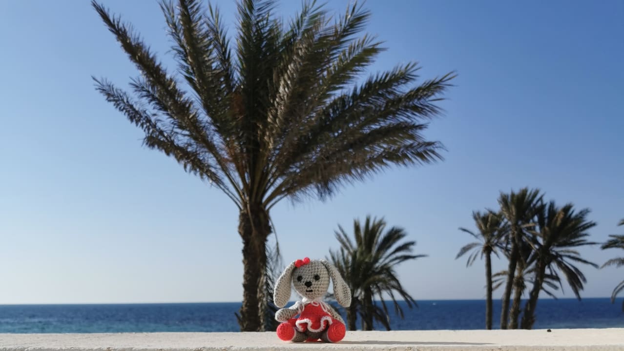 Ausblick Hotel El Mouradi Djerba Menzel