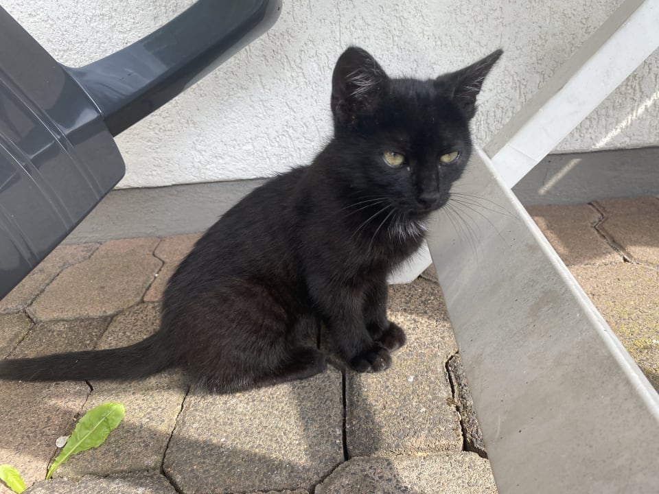 Sonstiges Wiesenberghof