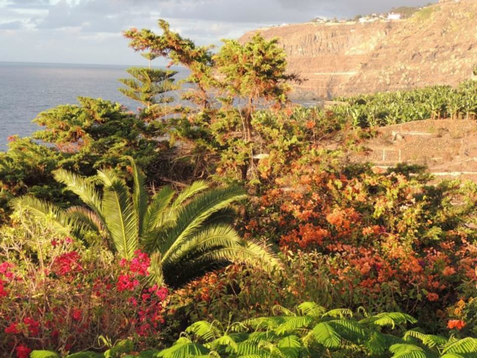 Ausblick von der Terrasse Finca El Rincon