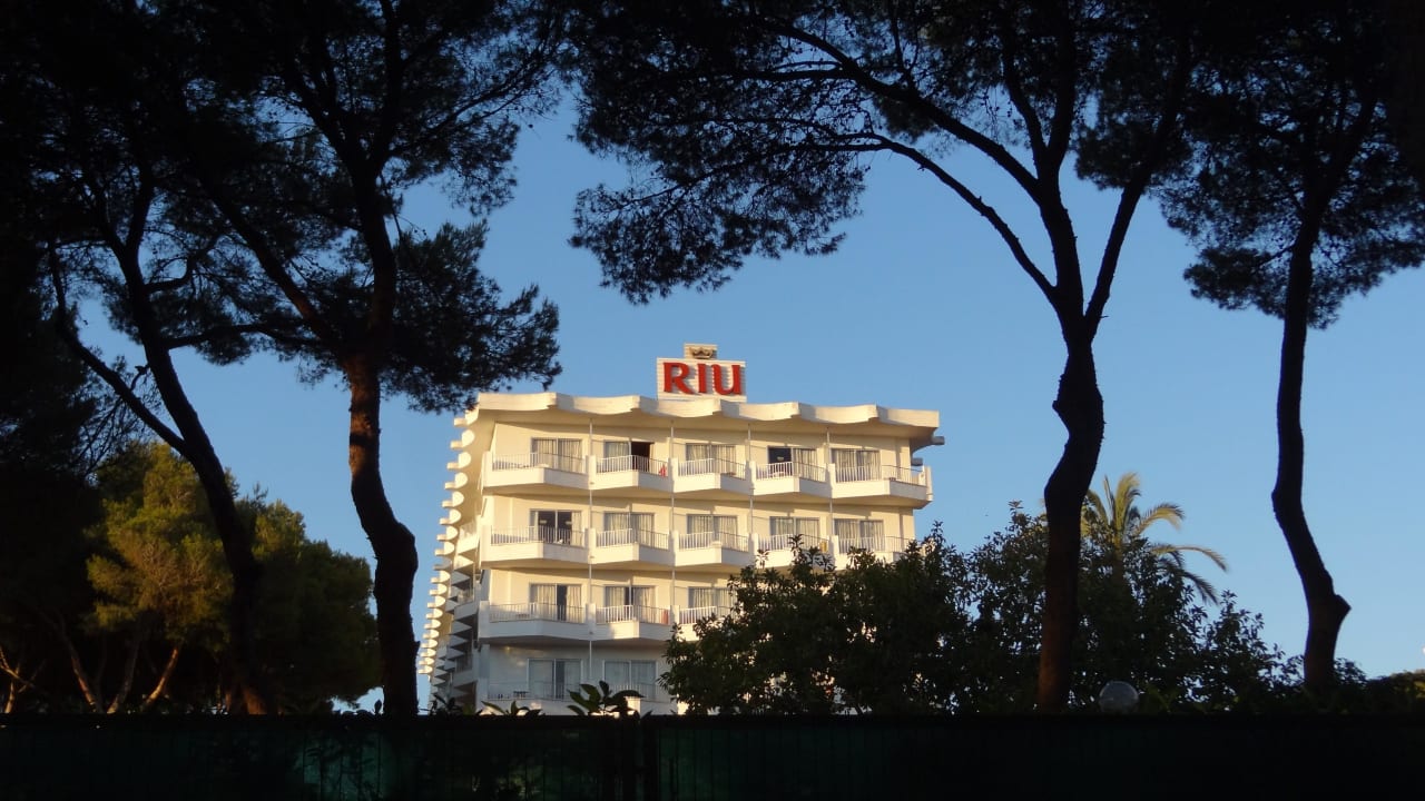 Hotel festival Hotel Riu Festival