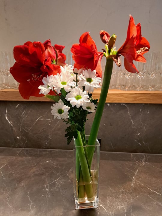 Sonstiges Elztalhotel