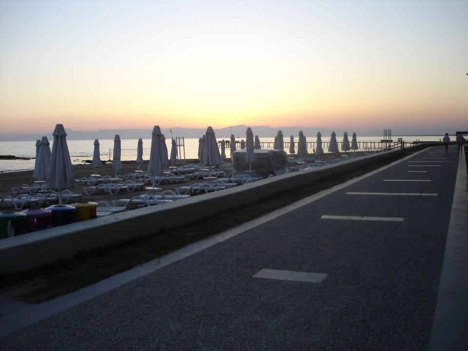 Neue Promenade Arum Barut Collection