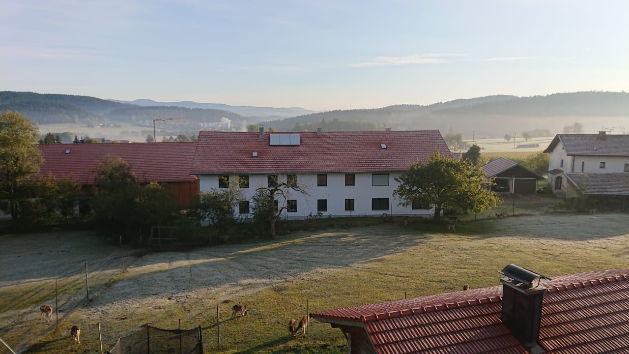 Zimmer Hotel Hirschenstein