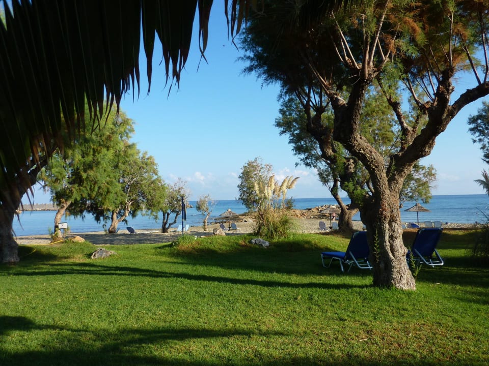 Liegewiese am Strand Phãea Cretan Malia