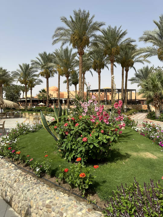 Gartenanlage Jaz Makadi Oasis Resort