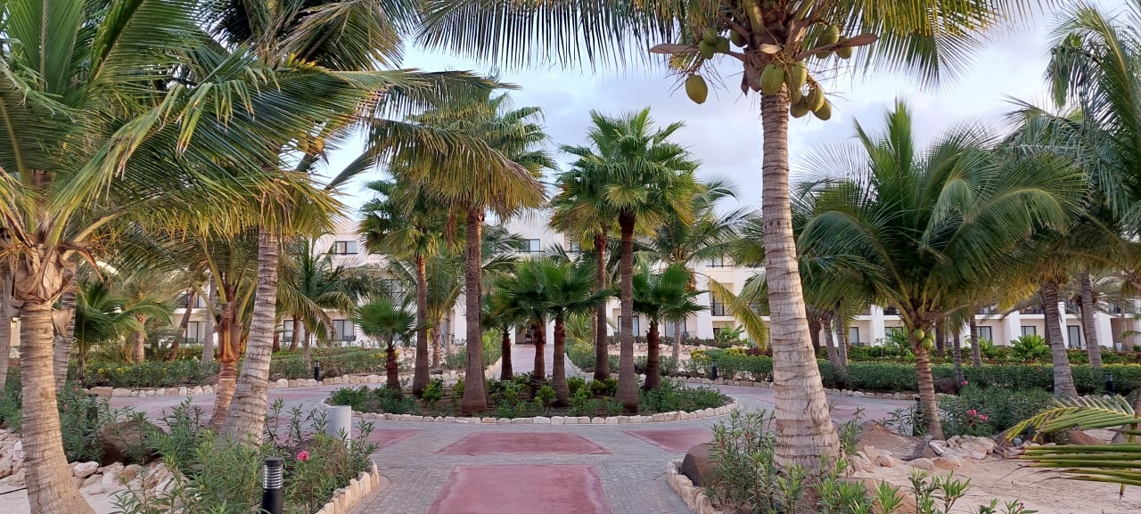 Gartenanlage Hotel Riu Karamboa