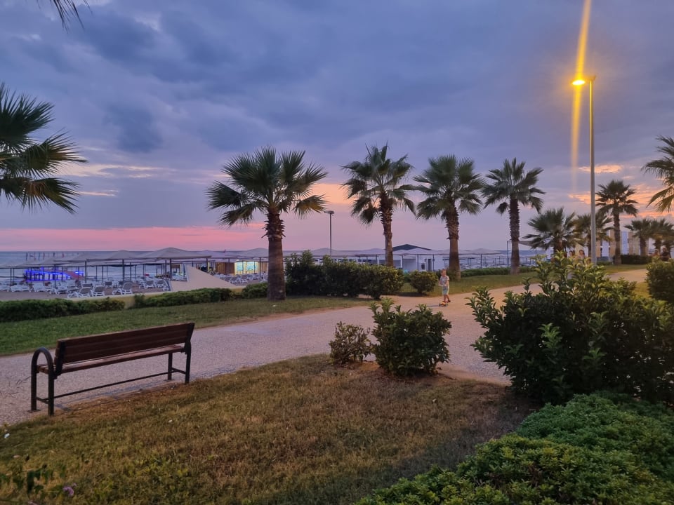 Strand Kamelya Aishen Club