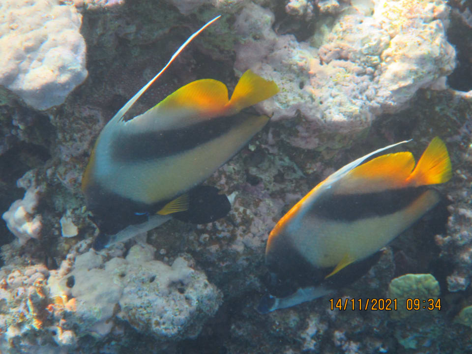 Sport & Freizeit Cleopatra Luxury Resort Makadi Bay