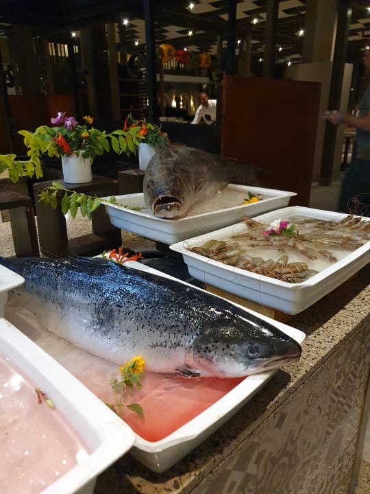 Gastro JAZ Elite Casa del Mar Beach