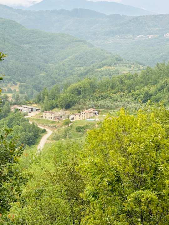 Sonstiges Le Chianine dei Tognoli