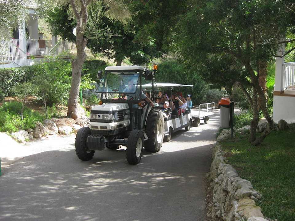 Hotel-Zug Flipflop Cala Romantica