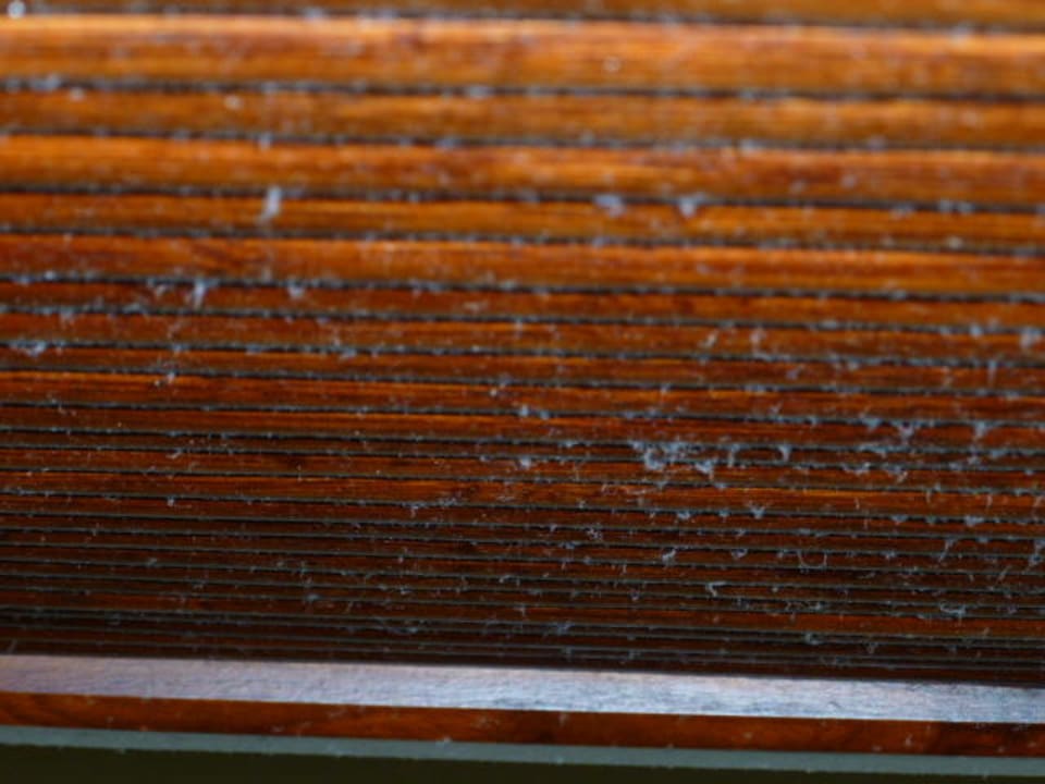 Kopfteil Catalonia Royal Bavaro - Adults only