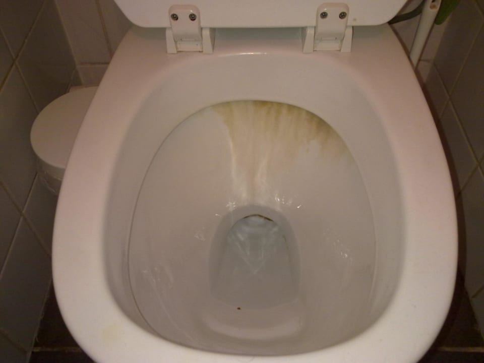 Toilette "VIP" Haus Center Parcs Park De Haan