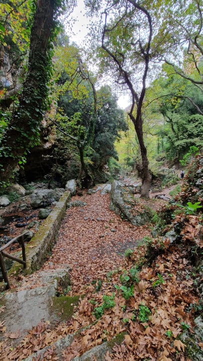 Gartenanlage allsun Hotel Carolina Mare