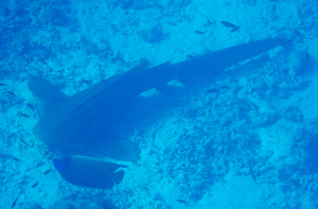 Sport & Freizeit Constance Moofushi Maldives