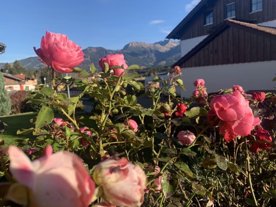 Ausblick Eldorado – Ferienwohnungen & Suiten im Allgäu
