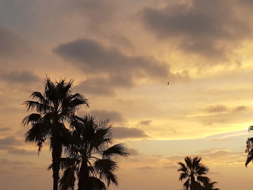 Ausblick Aldiana Club Andalusien