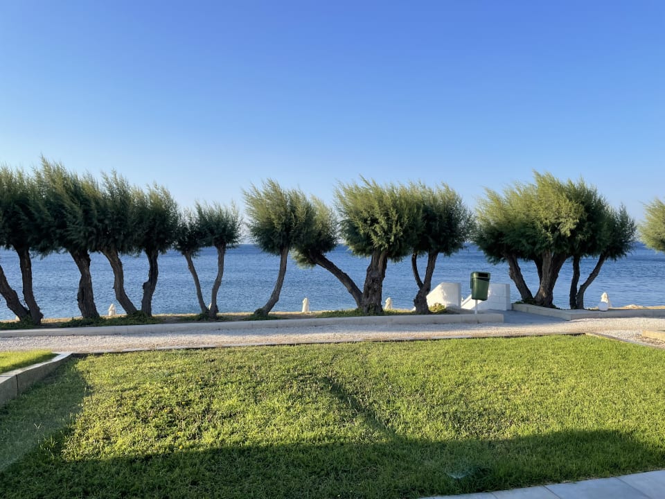 Zimmer Dimitra Beach Hotel & Suites