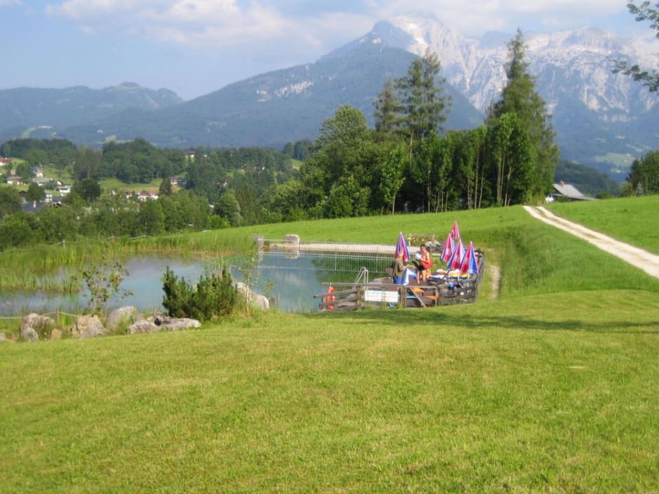 Natur-Schwimmteich Naturhotel Reissenlehen