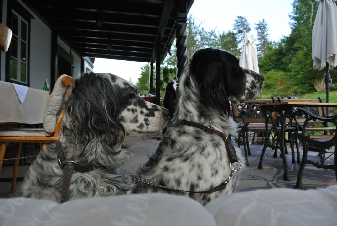 Terrasse Gasthof Herkuleshof